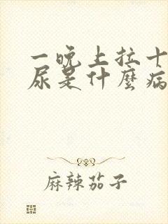 一晚上拉十几次尿是什么病