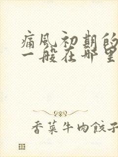 痛风初期的症状一般在哪里