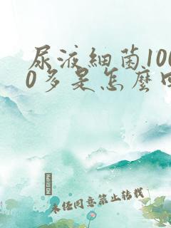 尿液细菌1000多是怎么回事