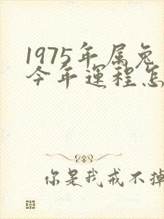 1975年属兔今年运程怎么样