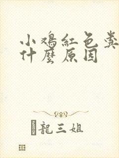 小鸡红色粪便是什么原因