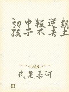 初中叛逆期的男孩子不去上学怎么去引导