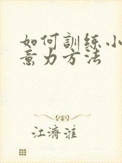 如何训练小儿注意力方法