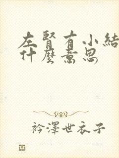 左肾有小结晶是什么意思