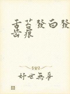 舌苔发白发苦有齿痕