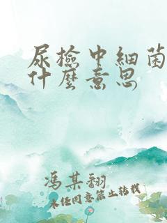 尿检中细菌高是什么意思