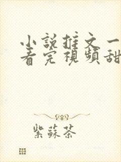 小说推文一口气看完视频甜文