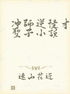 冲师逆徒才不是圣子小说