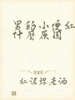 男的小便红色是什么原因