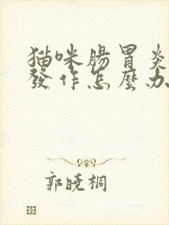 猫咪肠胃炎反复发作怎么办