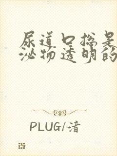 尿道口总是有分泌物透明的