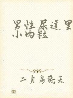 男性尿道里面有小肉粒