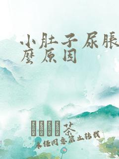 小肚子尿胀痛什么原因