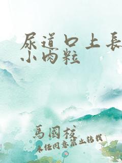 尿道口上长一圈小肉粒