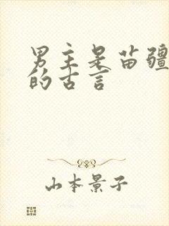 男主是苗疆少年的古言