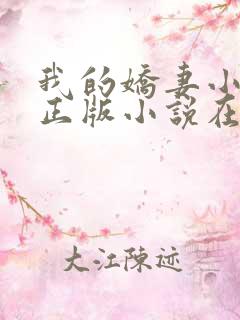 我的娇妻小欣儿正版小说在线阅读