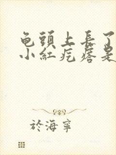 龟头上长了几个小红疙瘩是怎么回事