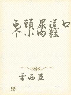 龟头尿道口有一个小肉粒