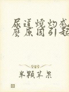 尿道烧灼感是什么原因引起的