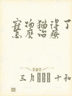 宠物猫得了尿病怎么治疗