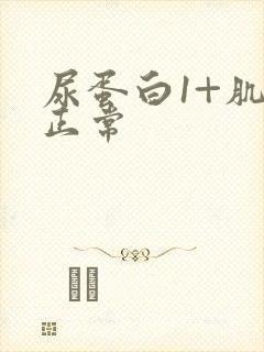 尿蛋白1+肌酐正常