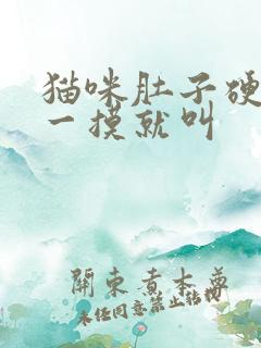 猫咪肚子硬硬的一摸就叫