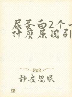 尿蛋白2个十是什么原因引起的