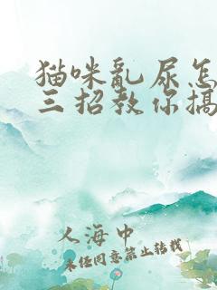 猫咪乱尿怎么办三招教你搞定烦恼