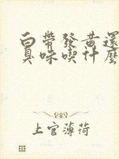 白带发黄还有腥臭味吃什么药好