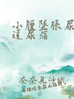 小腹坠胀尿频尿道尿痛