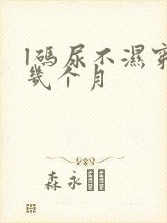 l码尿不湿穿到几个月