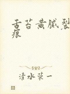 舌苔黄腻裂纹齿痕