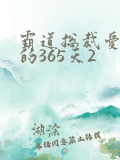 霸道总裁爱上我的365天2