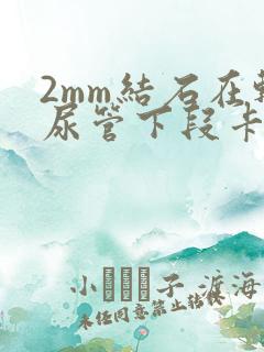 2mm结石在输尿管下段卡住怎么办