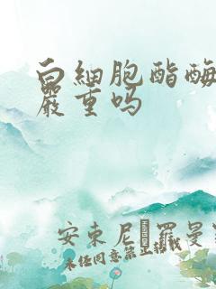 白细胞酯酶2+严重吗