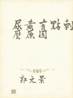 尿黄有点刺痛什么原因