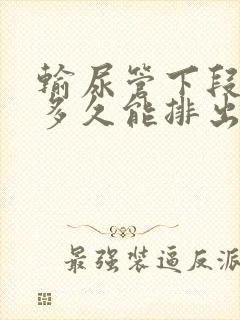 输尿管下段结石多久能排出