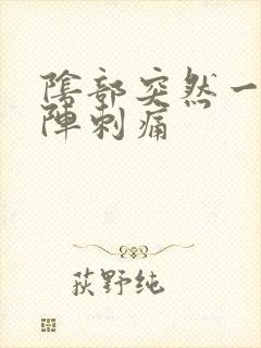 阴部突然一阵一阵刺痛