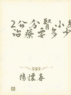 2公分肾小结石治疗要多少钱