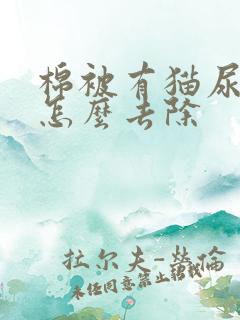 棉被有猫尿骚味怎么去除