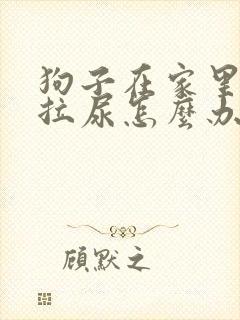 狗子在家里面乱拉尿怎么办