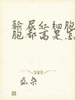 验尿红细胞白细胞都高是怎么回事