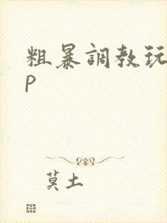 粗暴调教玩弄np