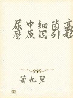 尿中细菌高是什么原因引起的