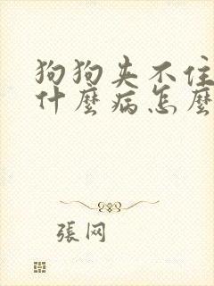 狗狗夹不住尿是什么病怎么治