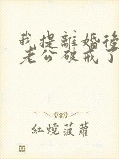 我提离婚后清冷老公破戒了最新小说