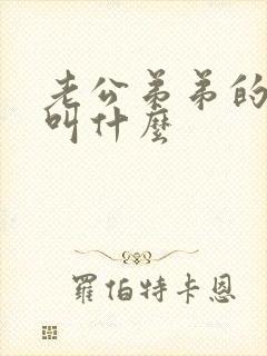 老公弟弟的女儿叫什么