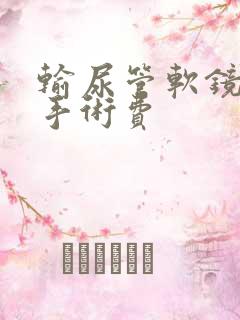 输尿管软镜取石手术费