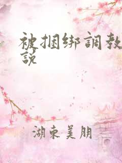 被捆绑调教的小说