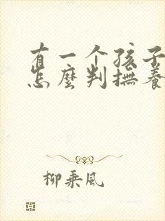 有一个孩子离婚怎么判抚养费多少